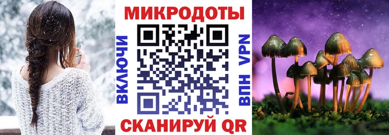 где можно купить наркотик Нестеров Псилоцибиновые грибы Cubensis
